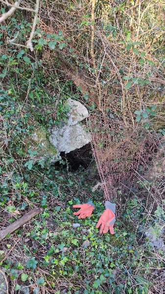 3801 juan.jpg
Un accès retrouvé derrière les ronces et un sommier métallique !
Fichier manquant